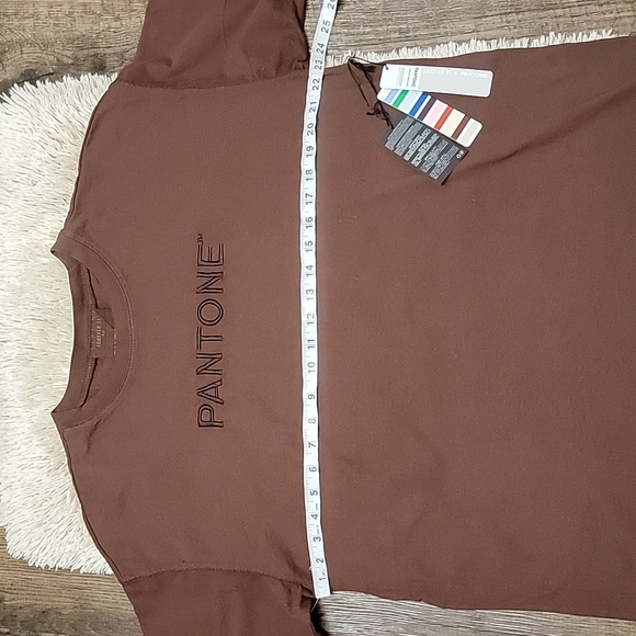 Panetone x Forever 21 | Brown Embroidered T Shirt - Picture 7 of 11
